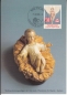 Preview: FL 0954 / 0956 MC ● - 1988